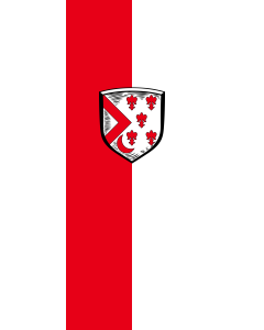 Flag: Wemding, St | portrait flag | 3.5m² | 38sqft | 300x120cm | 10x4ft