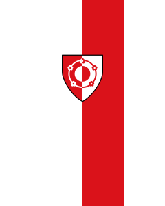 Flag: Oy-Mittelberg |  portrait flag | 3.5m² | 38sqft | 300x120cm | 10x4ft 
