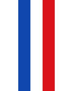 Ausleger-Flagge:  Schleswig-Holstein  |  Hochformat Fahne | 3.5m² | 300x120cm 