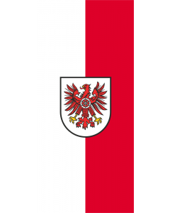Flag: German district Eichsfeld |  portrait flag | 1.35m² | 14.5sqft | 90x150cm | 3x5ft 