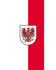 Flag: German district Eichsfeld |  portrait flag | 1.35m² | 14.5sqft | 90x150cm | 3x5ft 