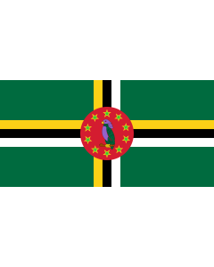 Flag: Dominica from 1988 to 1990 |  landscape flag | 1.35m² | 14.5sqft | 80x160cm | 30x60inch 