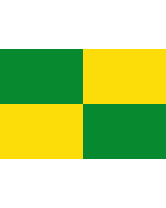 Flag: Provincia Pastaza |  landscape flag | 1.35m² | 14.5sqft | 90x150cm | 3x5ft 