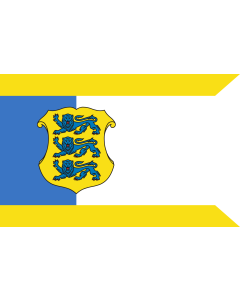 Flag: Estonian Commander-in-Chief |  landscape flag | 0.06m² | 0.65sqft | 20x30cm | 8x12in 