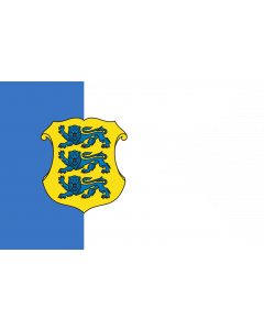 Flag: Estonian Rear Admiral |  landscape flag | 2.16m² | 23sqft | 120x180cm | 4x6ft 