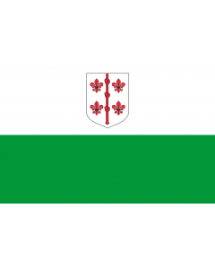 Flag: Hiiumaa lipp |  landscape flag | 1.35m² | 14.5sqft | 90x150cm | 3x5ft 