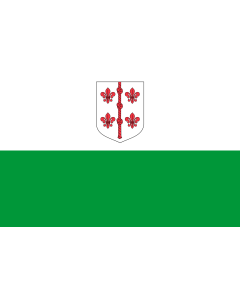 Flag: Hiiumaa lipp |  landscape flag | 1.35m² | 14.5sqft | 90x150cm | 3x5ft 