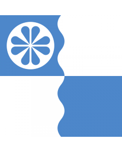 Flag: Kose Parish, Harju County, Estonia |  2.16m² | 23sqft | 150x150cm | 60x60inch 