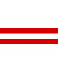 Flag: Mõisaküla | Mõisaküla lipp |  landscape flag | 1.35m² | 14.5sqft | 90x150cm | 3x5ft 