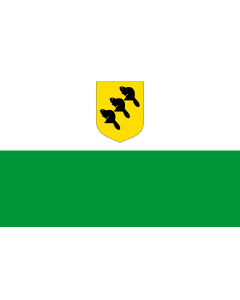 Flag: Põlvamaa lipp |  landscape flag | 1.35m² | 14.5sqft | 90x150cm | 3x5ft 