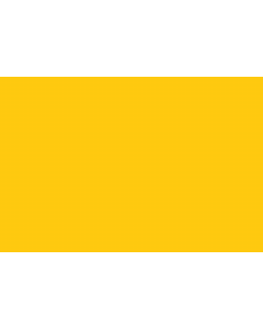 Bandera: Ayyubid Dynasty | The Ayyubid dynasty is often represented by the colour yellow |  bandera paisaje | 2.16m² | 120x180cm 