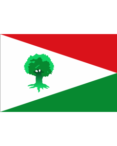 Flag: Albolote, province of Granada, Spain |  landscape flag | 1.35m² | 14.5sqft | 90x150cm | 3x5ft 