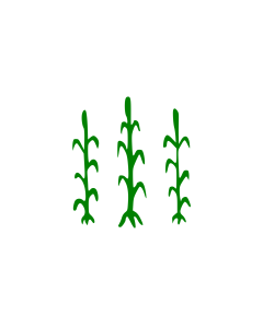 Bandera de  D Alcanar |  bandera horizontal | 2.16m² | 120x180cm 