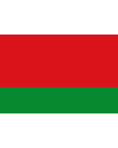 Bandera: Rectangular |  bandera paisaje | 1.35m² | 90x150cm 