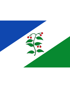 Bandera de  Apaisada |  bandera horizontal | 1.35m² | 90x150cm 