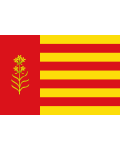 Bandera de  Azuara-Zaragoza |  bandera horizontal | 1.35m² | 90x150cm 