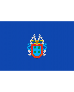 Flag: Barañáin municipality  Navarre-Spain |  landscape flag | 1.35m² | 14.5sqft | 90x150cm | 3x5ft 