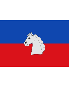 Flag: Biscarrués-Huesca-Spain |  landscape flag | 1.35m² | 14.5sqft | 90x150cm | 3x5ft 