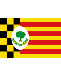 Flag: Campell | Alcampell |  landscape flag | 1.35m² | 14.5sqft | 90x150cm | 3x5ft 