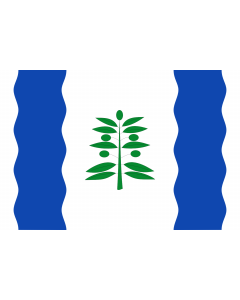 Flag: Cinco Olivas-Zaragoza-Spain |  landscape flag | 2.16m² | 23sqft | 120x180cm | 4x6ft 