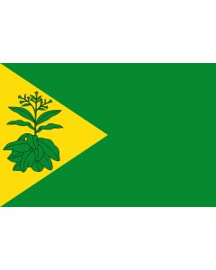 Bandera de  E.L.A. de Valderrubio Granada |  bandera horizontal | 2.16m² | 120x180cm 