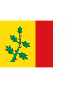 Bandera: Municipial de Espinosa de Villagonzalo  Palencia |  bandera paisaje | 1.35m² | 90x150cm 