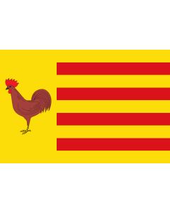 Flag: Gallur | Gallur La bandera rectangular |  landscape flag | 1.35m² | 14.5sqft | 90x150cm | 3x5ft 