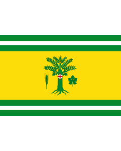 Flag: Grisel-Zaragoza-Spain |  landscape flag | 1.35m² | 14.5sqft | 90x150cm | 3x5ft 