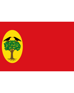 Flag: Leciñena-Zaragoza-Spain |  landscape flag | 1.35m² | 14.5sqft | 90x150cm | 3x5ft 