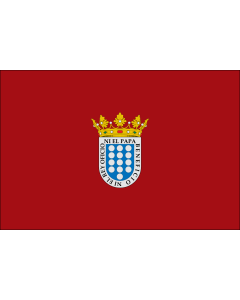 Flag: Medina del Campo, in Valladolid  Spain |  landscape flag | 0.06m² | 0.65sqft | 20x30cm | 8x12in 