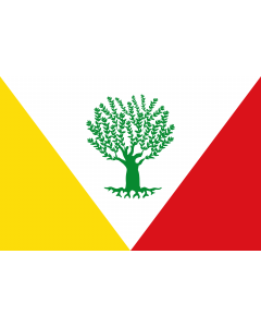 Flag: Montejícar, in Granada  Spain |  landscape flag | 1.35m² | 14.5sqft | 90x150cm | 3x5ft 