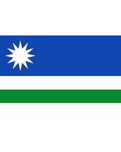Flag: Renedo de la Vega  Palencia, Castile and León |  landscape flag | 1.35m² | 14.5sqft | 90x150cm | 3x5ft 
