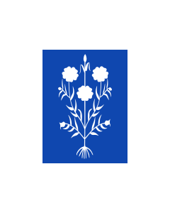 Bandera de  Rectangular |  bandera horizontal | 1.35m² | 90x150cm 