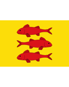 Flag: Vallmoll | Apaisada | Apaïsada |  landscape flag | 1.35m² | 14.5sqft | 90x150cm | 3x5ft 