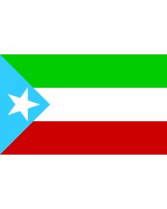 Flag: Somali region old |  landscape flag | 1.35m² | 14.5sqft | 80x160cm | 30x60inch 