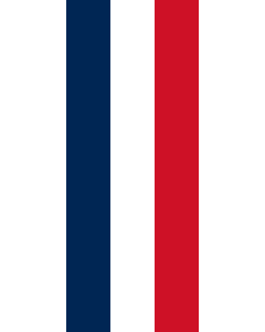 Bandera: Bandera vertical con potencia Francia |  bandera vertical | 3.5m² | 300x120cm 