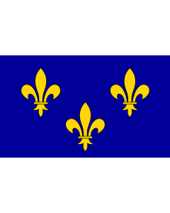 Flag: Île-de-France |  landscape flag | 1.35m² | 14.5sqft | 90x150cm | 3x5ft 