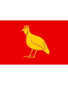 Flag: French province of Aunis |  landscape flag | 2.16m² | 23sqft | 120x180cm | 4x6ft 