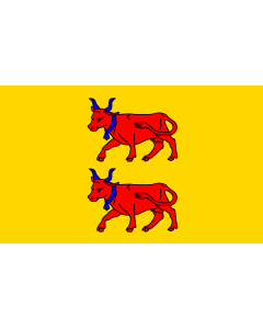 Flag: Region Béarn in France |  landscape flag | 1.35m² | 14.5sqft | 90x150cm | 3x5ft 
