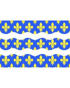 Flag: Seine-et-Marne |  landscape flag | 2.16m² | 23sqft | 120x180cm | 4x6ft 