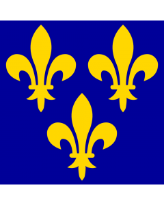 Flag: France during the 14th through 16th centuries |  2.16m² | 23sqft | 150x150cm | 60x60inch 