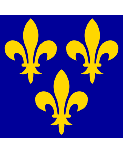 Bandiera: Francia del XIV-XVI secolo |  1,35&nbsp;m² | 120&nbsp;×&nbsp;120&nbsp;cm 