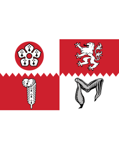 Flag: Leicestershire |  landscape flag | 2.4m² | 26sqft | 120x200cm | 4x7ft 