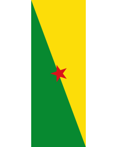 Vertical Hanging Swivel Crossbar Banner Flag: French Guiana |  portrait flag | 6m² | 64sqft | 400x150cm | 13x5ft 