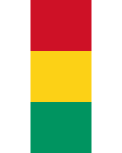 Vertical Hanging Swivel Crossbar Banner Flag: Guinea |  portrait flag | 3.5m² | 38sqft | 300x120cm | 10x4ft 