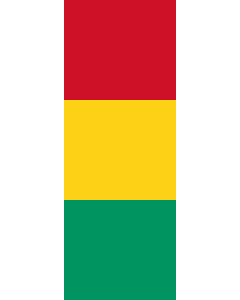 Vertical Hanging Swivel Crossbar Banner Flag: Guinea |  portrait flag | 6m² | 64sqft | 400x150cm | 13x5ft 