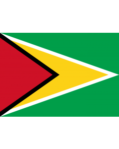 Flag: Guyana |  landscape flag | 0.7m² | 7.5sqft | 70x100cm | 2x3ft 