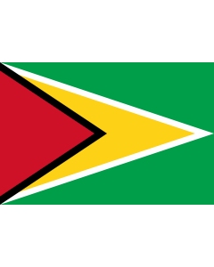 Bandera: Guyana |  bandera paisaje | 2.16m² | 120x180cm 