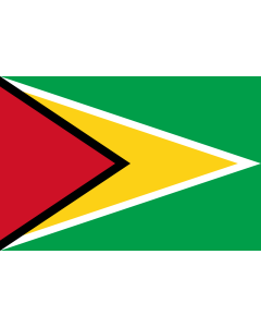 Flag: Guyana |  landscape flag | 0.135m² | 1.5sqft | 30x45cm | 1x1.5foot 