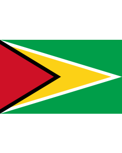 Bandera: Guyana |  bandera paisaje | 2.4m² | 120x200cm 
